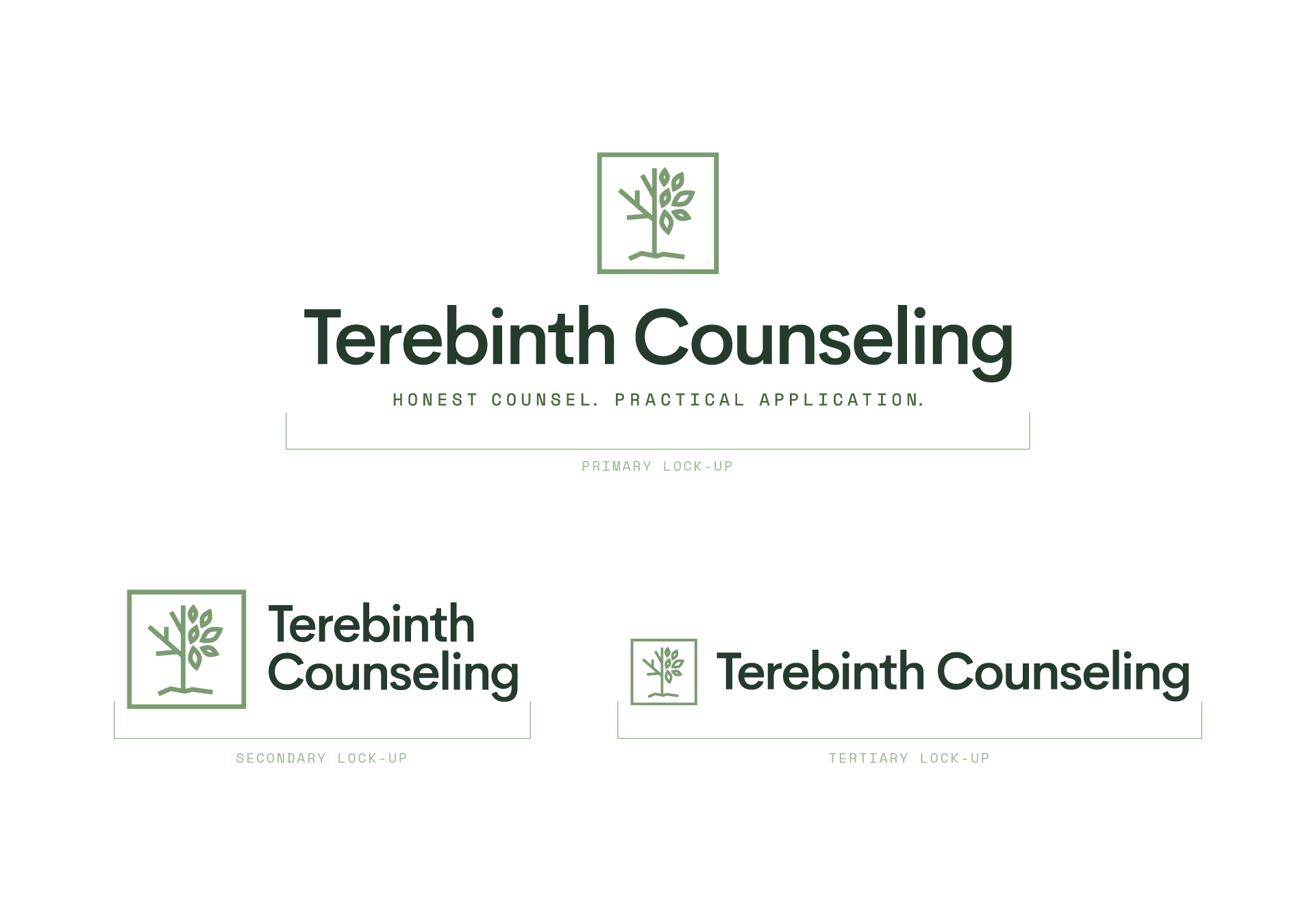 AnnaMontgomeryCo_Portfolio_Terebinth_07